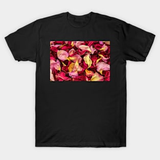 Rose Pedals T-Shirt